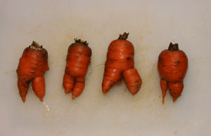 Dancing Carrots.