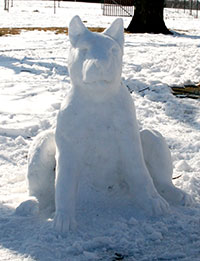 Snow Dog