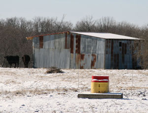 Remodeled loafing shed.