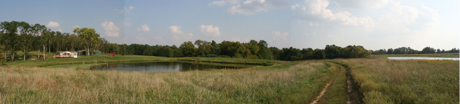 Chillicothe 203 acres