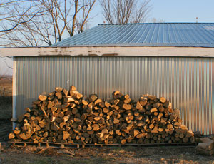 woodpile
