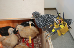 family is ready for work