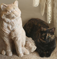 walking tractor handlebars