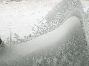 Frosty landscape
