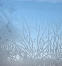 frosty window