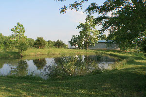 upper pond