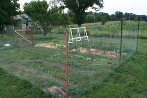 vegetable garden